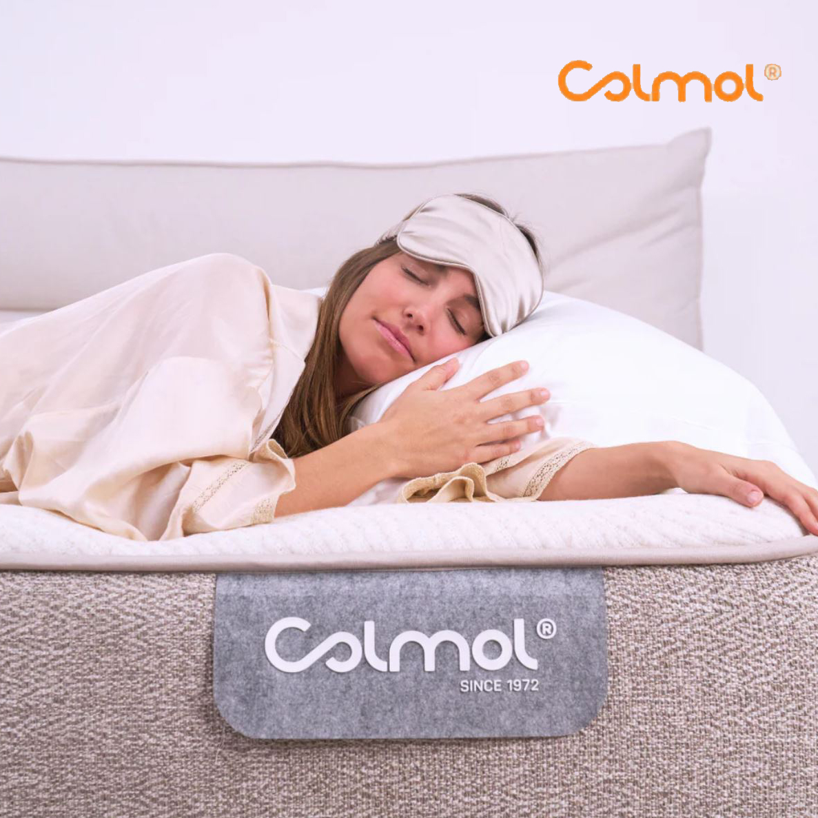 Scaling Premium Bedding in China: The Colmol Case Study on Strategic Operations Support