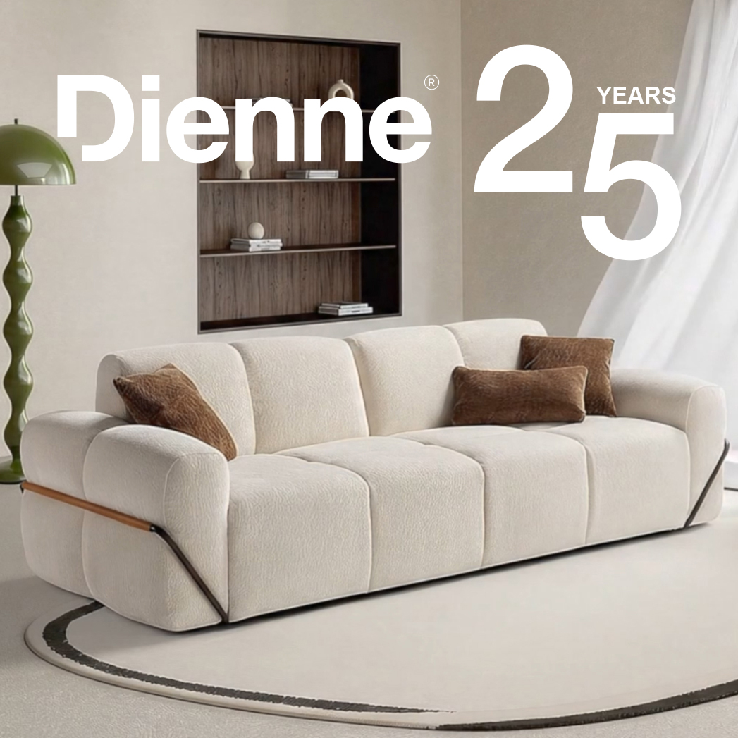 How CMO Helped Dienne Successfully Enter and Scale in the China Furniture Market